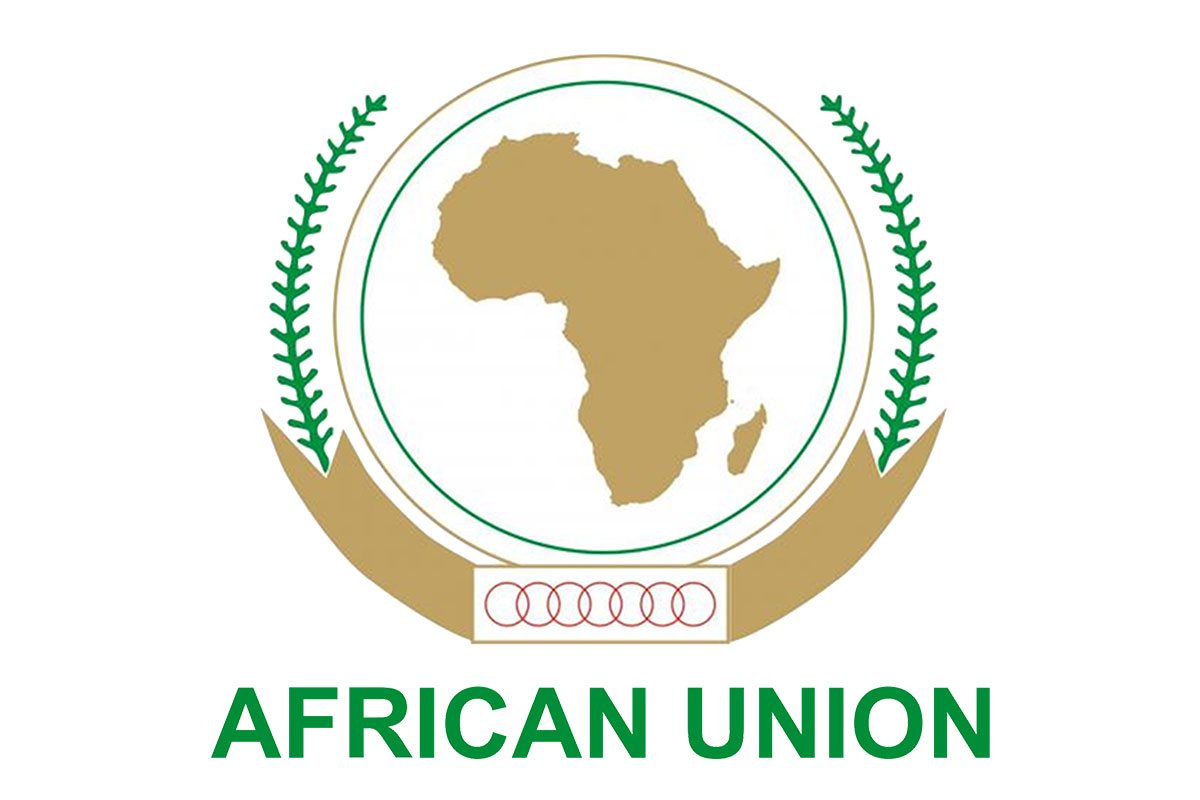 Image result for african union
